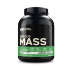 SERIOUS MASS