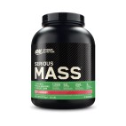 SERIOUS MASS