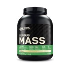 SERIOUS MASS