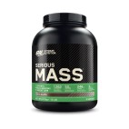 SERIOUS MASS