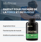Creatina 2500