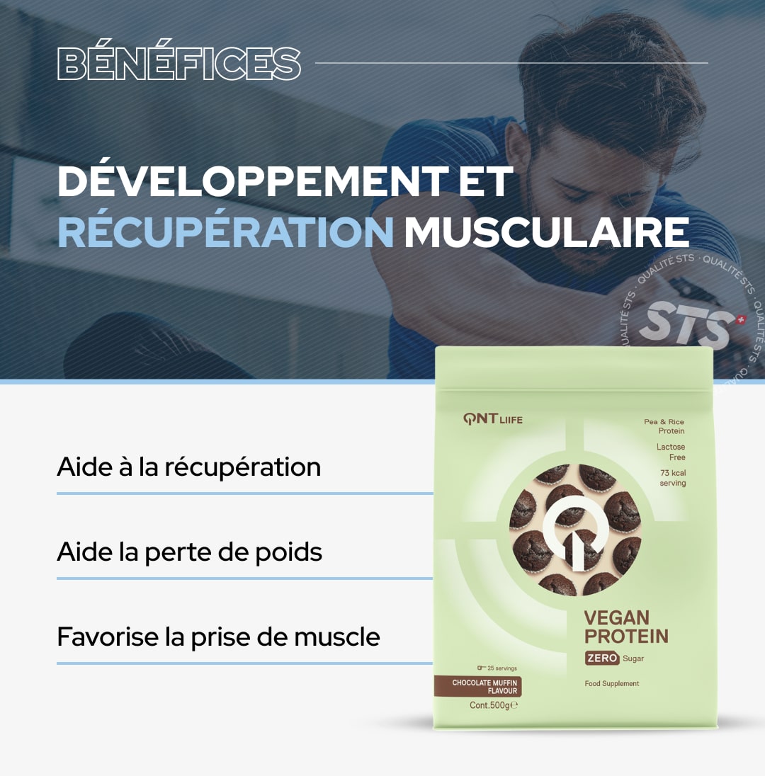 Vegan Protein Zero Sugar