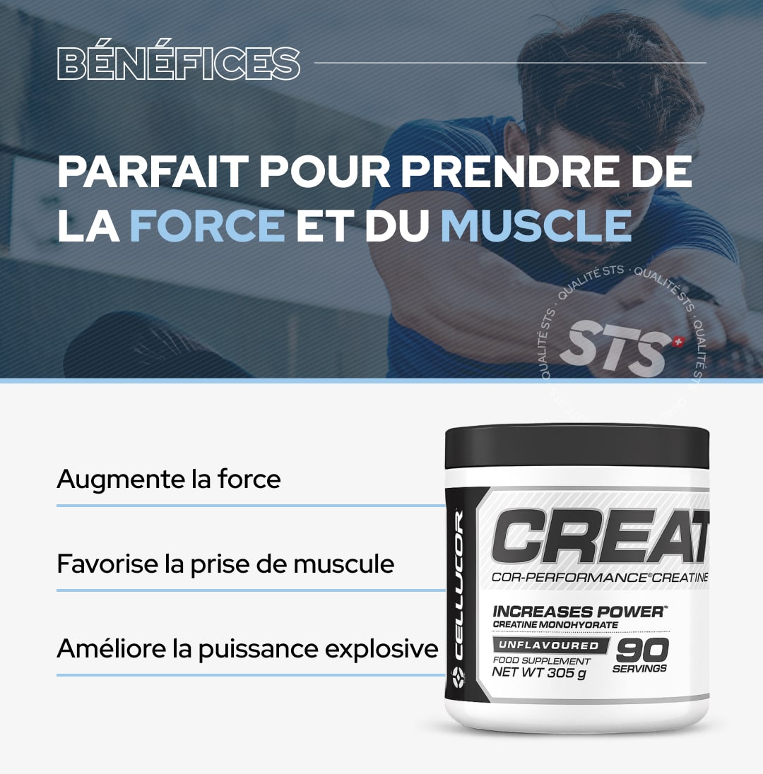 Cellucor Creatina in polvere