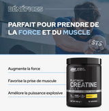 Platinum Creatine Plus